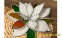 4 005 weisse blume